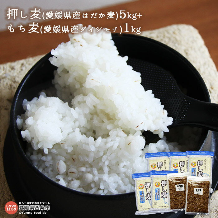 【ふるさと納税】＜押し麦(愛媛県産はだか麦)5kg+もち麦(愛媛県産ダイシモチ)1kg＞ ※翌月末迄に順次出荷 計6kg 押麦 大麦 雑穀 米 藤田精麦 愛媛県 西条市 【常温】