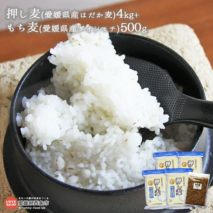 【ふるさと納税】＜押し麦(愛媛県産はだか麦)4kg+もち麦(愛媛県産ダイシモチ)500g＞ ※翌月末迄に順次出荷 計4.5kg 押麦 大麦 雑穀 米 藤田精麦 愛媛県 西条市 【常温】