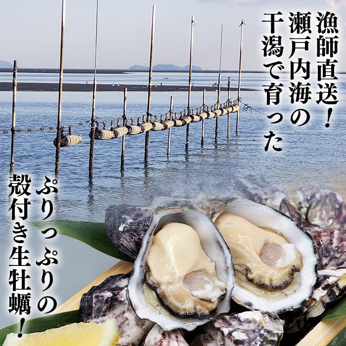 【ふるさと納税】＜瀬戸内海産 殻付き牡蠣 「瑞宝（ずいほう）」10個入り＞ ※2024年4月末より順次出荷します。 カキ かき カキ殻 生食可能 生食用 カキフライ 海のミルク 国産 魚介類 魚貝類 海鮮 海の幸 水産物 杉本水産 愛媛県 西条市【冷蔵】