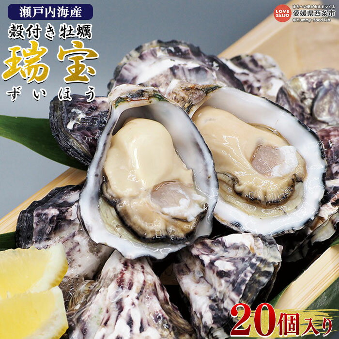 【ふるさと納税】＜瀬戸内海産 殻付き牡蠣 「瑞宝（ずいほう）」20個入り＞ ※2024年4月末より順次出荷します。 カキ かき カキ殻 生食可能 生食用 カキフライ 海のミルク 国産 魚介類 魚貝類 海鮮 海の幸 水産物 杉本水産 愛媛県 西条市【冷蔵】のサムネイル