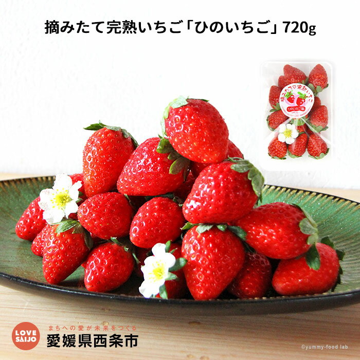 【ふるさと納税】<摘みたて完熟いちご「ひのいちご」720g(180g×4パック)> ※2021年4月末迄に順次出荷します。 苺 イチゴ 愛媛県 西条市 【冷蔵】【JP】