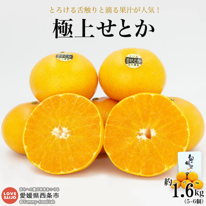 【ふるさと納税】＜「極上せとか」約1.6kg（2L～3L）＞