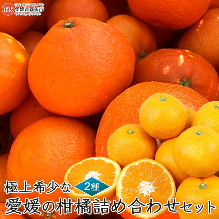 【ふるさと納税】＜極上希少な愛媛の柑橘詰め合わせセット 「極上愛果28号＆完熟夢みかん」＞※2025年12月中旬～12月下旬迄に順次出荷します。 愛媛オリジナル高級品種 愛媛果試第28号 ミカン 蜜柑 果物 フルーツ 柑橘 食べ比べ 茨木農園 愛媛県 西条市 【常温】