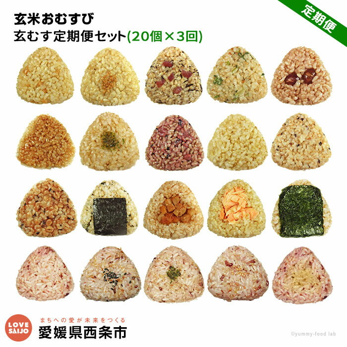 【ふるさと納税】＜玄米 おむすび 定期便 20個×3回＞- おにぎり 冷凍 鶏 チーズ 鮭 カレー 玄米おむすび玄むす屋 かんこめ 愛媛県 西条市『※翌月末迄に第1回目を出荷』