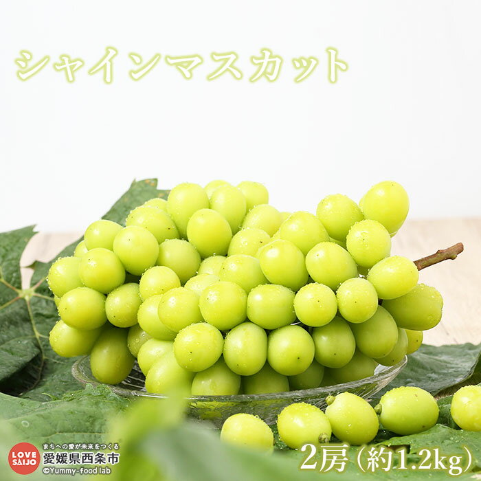 ڤդ뤵Ǽǡͽա㥷㥤ޥå 2˼(1.2kg) 2024ǯ7ܡ8˽缡в٤ޤ֥ɥ ƺ ֤ɤ ʤ 餴 ̼ ɲ  ¢