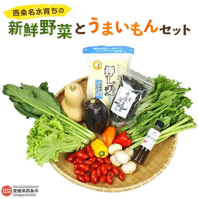 [西条名水育ちの新鮮野菜とうまいもんセット]※翌月末迄に順次出荷します。(旬のお野菜と加工品セット) やさい ドレッシング 詰め合わせ 産地直送 おまかせ 農産物 国産 愛媛県 西条市[冷蔵]