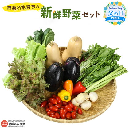 【父の日】＜西条名水育ちの新鮮野菜セット＞※2024年6月14日(金)～6月16日(日)迄にお届け（旬のお野菜セット） やさい 詰め合わせ ギフト 贈り物 プレゼント 感謝 愛媛県 西条市【冷蔵】