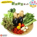【ふるさと納税】【父の日】<西条名水育ちの新鮮野菜セット>※ご希望の配送時期をお選びください。(旬のお野菜セット) やさい 詰め合わせ 産地直送 おまかせ お楽...
