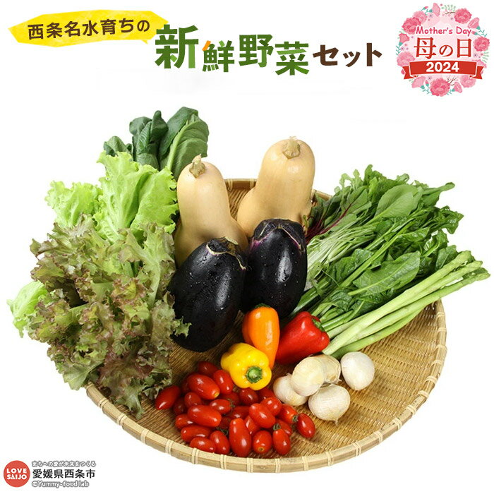 [母の日][西条名水育ちの新鮮野菜セット]※2024年5月10日(金)〜5月12日(日)迄にお届け(旬のお野菜セット) やさい 詰め合わせ ギフト 贈り物 プレゼント 感謝 愛媛県 西条市[冷蔵]