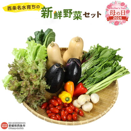 【母の日】＜西条名水育ちの新鮮野菜セット＞※2024年5月10日(金)～5月12日(日)迄にお届け（旬のお野菜セット） やさい 詰め合わせ ギフト 贈り物 プレゼント 感謝 愛媛県 西条市【冷蔵】