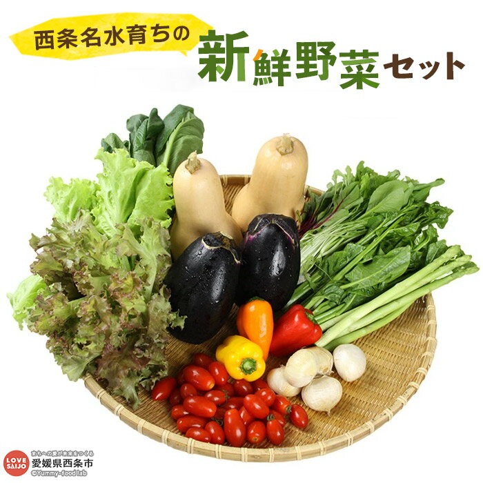 2位! 口コミ数「1件」評価「4」＜西条名水育ちの新鮮野菜セット＞※翌月末迄に順次出荷します。（旬のお野菜セット） やさい【冷蔵】