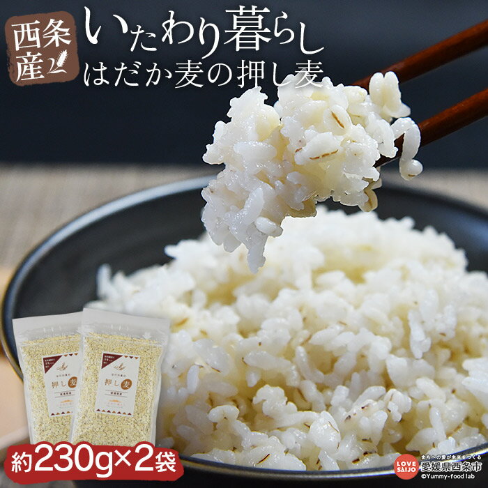 25位! 口コミ数「3件」評価「5」＜いたわり暮らし 西条産 はだか麦の押し麦 (230g×2袋セット)＞ ※翌月末迄に順次出荷します。 西条市産 国産 大麦 食物繊維 雑穀米･･･ 