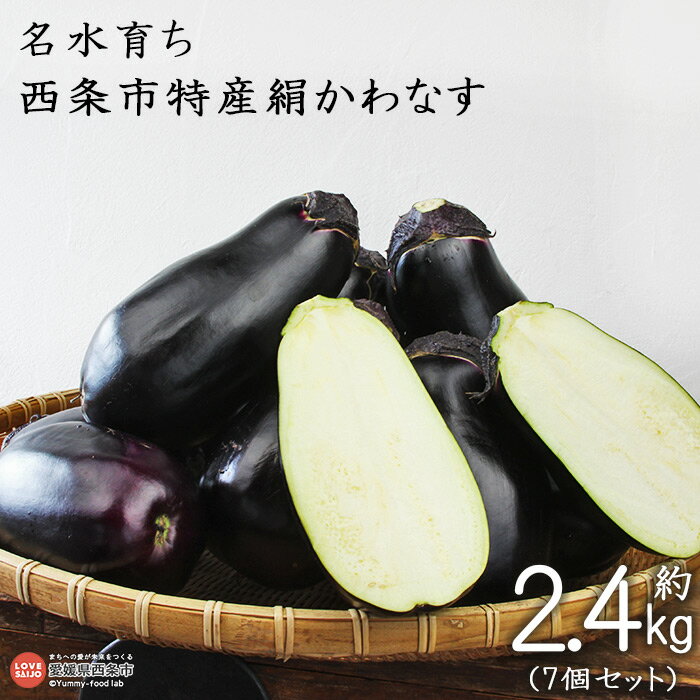 予約受付[名水育ち 西条市特産 絹かわなす 約2.4kg(7個セット)]※2025年7月中旬〜9月末迄に順次出荷します。茄子 ナス なすび きぬかわなす 野菜 やさい 新鮮 浅漬け 煮浸し 特産品 産地直送 愛媛県 西条市[常温]