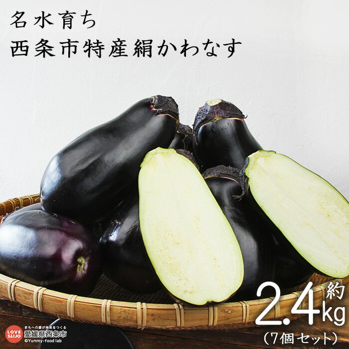 【ふるさと納税】予約受付＜名水育ち 西条市特産 絹かわなす 約2.4kg（7個セット）＞※2024年7月中旬～9月末迄に順次出荷します。茄子 ナス なすび きぬかわなす 野菜 やさい 新鮮 浅漬け 煮浸し 特産品 産地直送 愛媛県 西条市【常温】