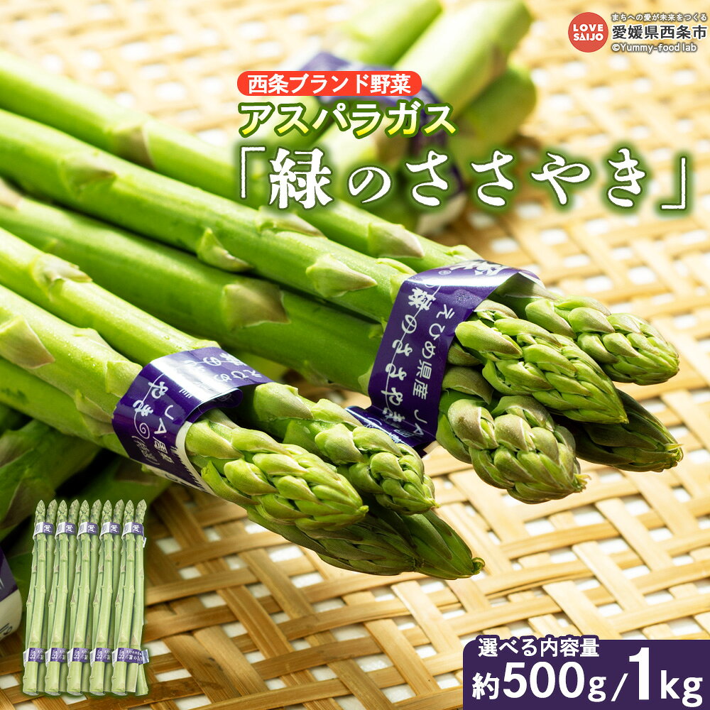 ※2024年予約終了※【ふるさと納税】＜【選べる内容量】西条ブランド野菜 アスパラガス 緑のささやき（1束100g）約500g/約1kg＞※翌月末迄に順次出荷 あすぱら ベーコン 肉 パスタ アヒージョ 豚バラ えのき バター 巻き 揚げ 炒め 茹で 副菜 弁当 愛媛県 西条市【冷蔵】