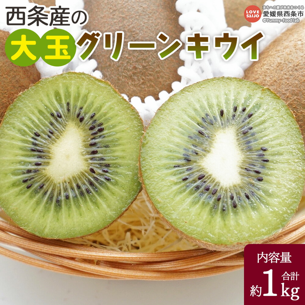 【ふるさと納税】<西条産の大玉グリーンキウイ 約1kg>※翌月末までに順次出荷します。キューイ キウィ ヘイワード フルーツ 栄養価が高い ビタミンたっぷり 好...