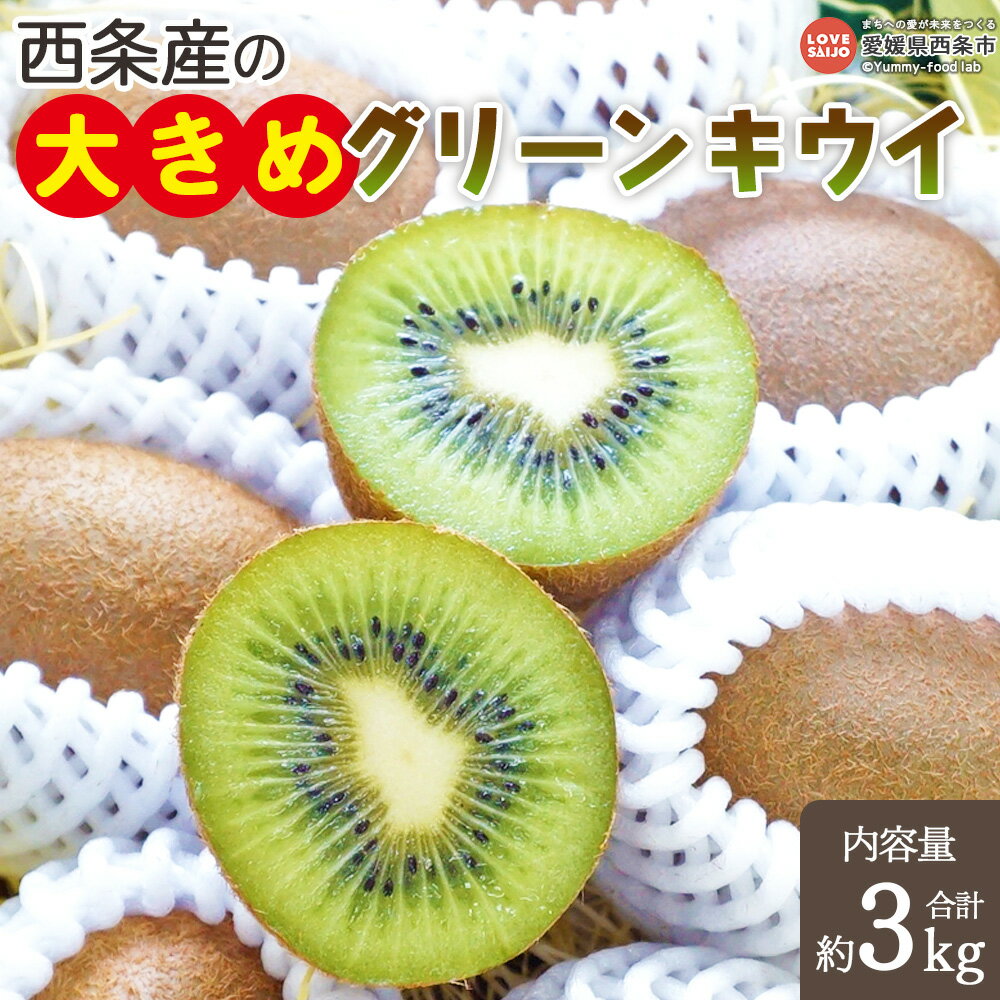 【ふるさと納税】<西条産の大きめグリーンキウイ 約3kg(中玉〜大玉)>※翌月末より順次出荷します。キューイ キウィ ヘイワード フルーツ ビタミンたっぷり 美...