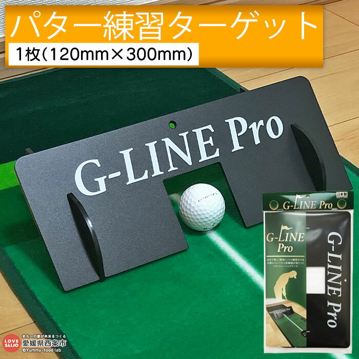 【ふるさと納税】＜パター練習用ターゲット「G-LINE Pr