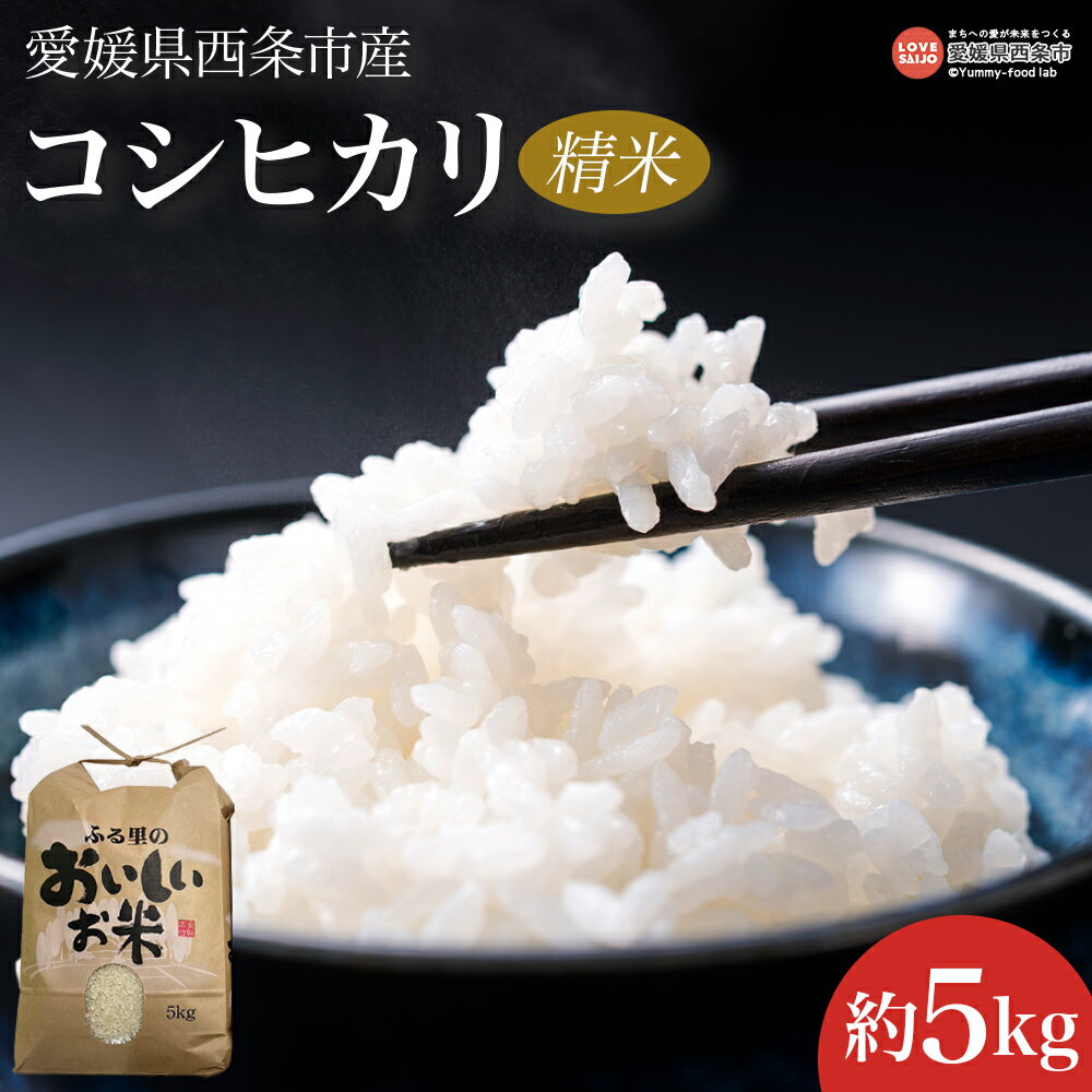 【ふるさと納税】<令和7年度産 愛媛県西条市産 コシヒカリ 精米 5kg>※翌月末迄に順次出荷します。新米 こしひかり 白米 お米 こめ コメ ご飯 ごはん ラ...