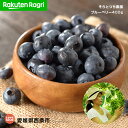 【ふるさと納税】Ragri<そらとつち農園 ブルーベリー40...