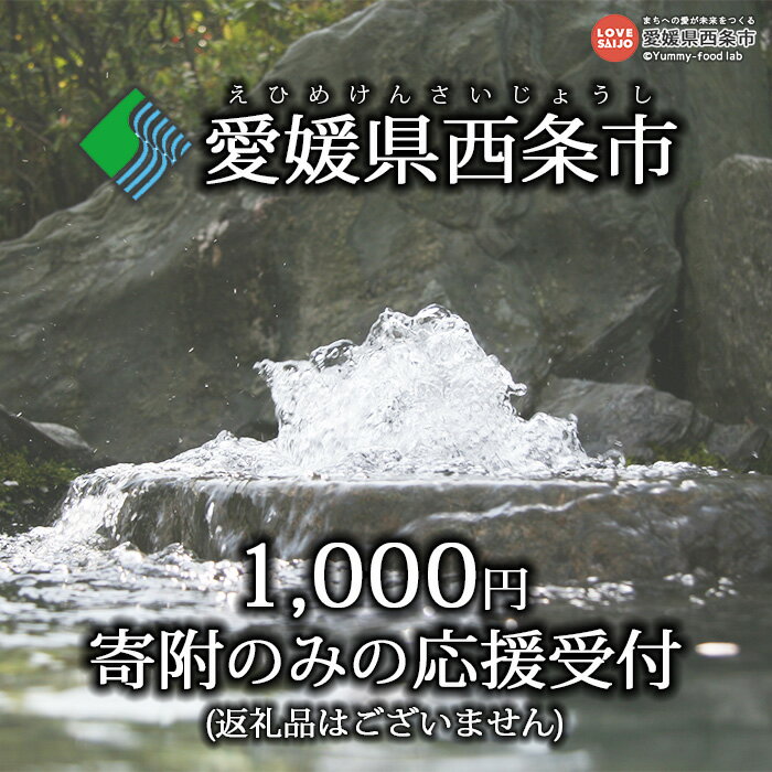 [寄附のみの応援受付(返礼品はございません)] 愛媛県 西条市 返礼品なし 寄付