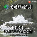 30位! 口コミ数「11件」評価「4.64」＜寄附のみの応援受付(返礼品はございません)＞ 愛媛県 西条市 返礼品なし 寄付