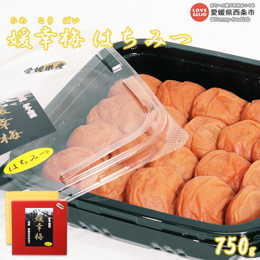 【ふるさと納税】<媛幸梅 はちみつ 750g> ※翌月末迄に順次出荷 梅干し うめぼし ウメボシ 減塩 蜂蜜 ハチミツ 南高梅 国産 佐伯食品 愛媛県 西条市 【常温】 【ふるさと納税】<媛幸梅 はちみつ 750g> ※翌月末迄に順次出荷 梅干し うめぼし ウメボシ 減塩 蜂蜜 ハチミツ 南高梅 国産 佐伯食品 愛媛県 西条市 【常温】