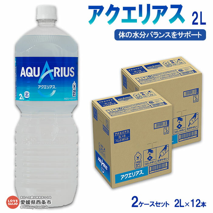 【ふるさと納税】＜アクエリアス2L 6本×2ケース 計12本＞ ※翌月末迄に順次出荷 ペットボトル スポーツドリンク スポーツ飲料 愛媛県 西条市 【常温】