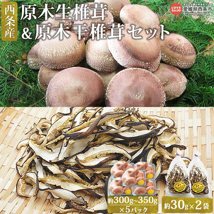 【ふるさと納税】＜西条産 原木生椎茸＆原木干椎茸セット＞ 2024年11月上旬～2025年1月末迄に順次出荷 干ししいたけ 乾燥 国産 シイタケ 使い分け ビタミンD 茶碗蒸し 炊き込みご飯 汁物 佃煮 …