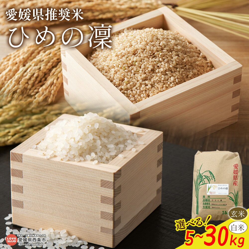 【ふるさと納税】【先行予約受付】＜令和8年産 愛媛県推奨米（ひめの凜）5kg/10kg/27kg/30kg＞※2026年11月より順次出荷します。新米 ひめの凛 選べる 内容量 玄米 白米 精米 お米 こめ コメ ご飯 ごはん ライス おにぎり 夕食 非常食 備蓄 国産 愛媛県 西条市【常温】