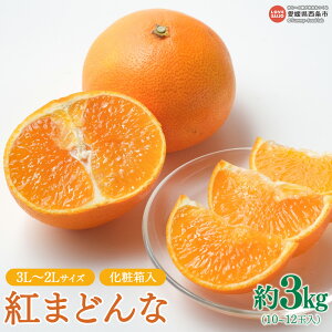 【ふるさと納税】先行予約受付<紅まどんな 約3kg 10~12玉入(3L~2Lサイズ)化粧箱>※2025年12月上旬~12月下旬迄に順次出荷します。 フルーツ 果物 くだもの 柑橘 みかん 蜜柑 ジューシー 産地直送 JA周桑 農業協同組合 愛媛県 西条市【常温】