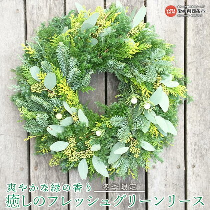冬季限定<癒しのフレッシュグリーンリース> ※1か月以内に順次出荷します。 インテリア 壁掛け ナチュラル グリーン 植物 生リース ギフト お祝い ワークショップA 愛媛県 西条市 【常温】【JP】