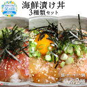 【ふるさと納税】【父の日】＜海鮮漬け丼 3種類セット 計6袋