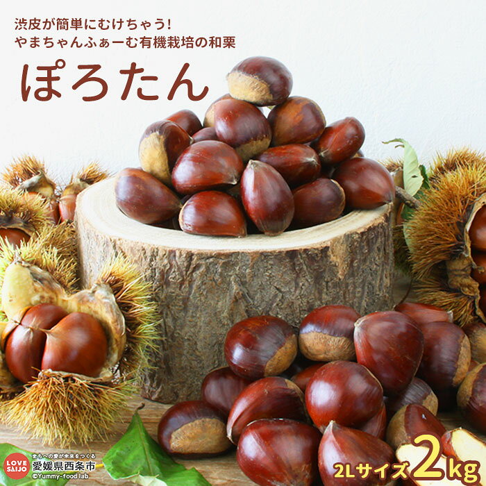 和栗 ＜有機栽培 ぽろたん 2Lサイズ 2kg＞※翌月末迄に順次出荷します。 やまちゃんふぁーむ マロン 愛媛県 西条市 渋皮が簡単にむけちゃう! 【冷蔵】