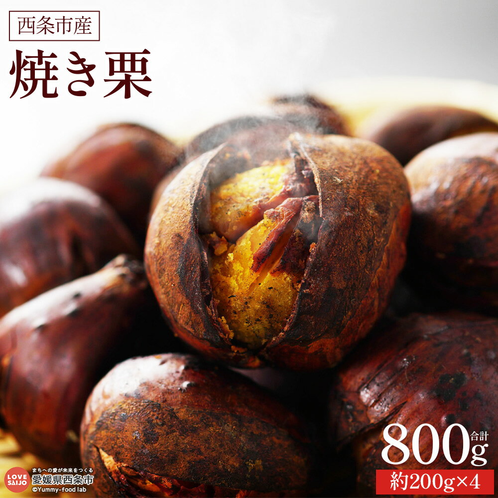[西条市産 焼き栗 合計800g(約200g×4)]※最短1週間程度で出荷 やき栗 くり 銀寄 ぎんよせ 美久里 みくり 倉方甘栗 ぽろたん マロン 国産 アレンジ 丹原やまちゃんふぁーむ 愛媛県 西条市[冷凍]