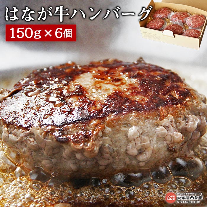 【ふるさと納税】＜はなが牛 ハンバーグ （150g×6個＞ ミンチ 牛肉 肉加工品 ゆうぼく 冷凍 愛媛県 西条市 『※翌月末迄に順次出荷』