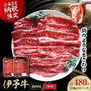 【ふるさと納税】【冷凍】毎月50個限定！上品な肉質と豊潤な味わい！伊予牛「絹の味」 モモ　牛肉 国産黒毛和牛 すきやき しゃぶしゃぶ 伊予牛 愛媛県大洲市/JAえひめアイパックス株式会社/いよっこら[AGAB002]