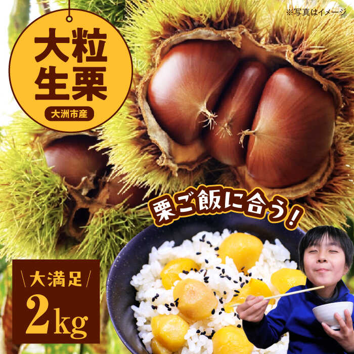 【ふるさと納税】【先行予約】【9月中旬から順次発送】自然な甘みと豊かな香り！くり 栗 生栗 栗ご飯 果物 愛媛県産高級和栗 大粒生栗 2kg　愛媛県大洲市/あじさい農園[AGAE008]