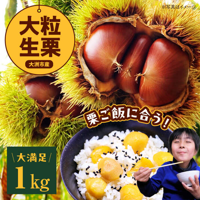 フルーツ・果物(栗)人気ランク59位　口コミ数「0件」評価「0」「【ふるさと納税】【先行予約】【9月中旬から順次発送】自然な甘みと豊かな香り！くり 栗 生栗 栗ご飯 果物 愛媛県産高級和栗 大粒生栗 1kg　愛媛県大洲市/あじさい農園[AGAE009]」