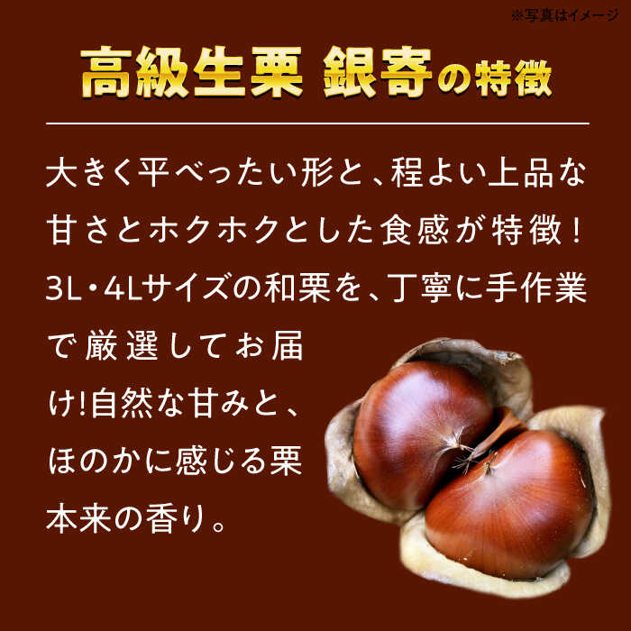 【ふるさと納税】【和栗の代表！上品な甘さ！】あじさい農園の高級生栗「銀寄」（1kg）　くり 栗 生栗 栗ご飯 銀寄 愛媛県大洲市/あじさい農園/合同会社あじさい[AGAE010]