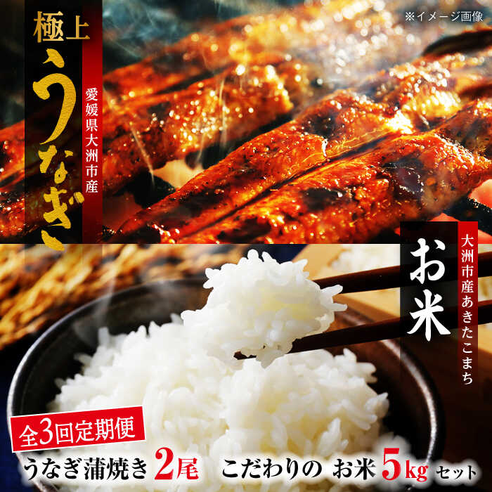 [全3回定期便]国産うなぎ!秘伝のタレで焼き上げた「うなぎ蒲焼き 2尾」と地元生産者こだわりの「お米 5kg」セット 国産うなぎ うなぎ蒲焼 鰻重 うな丼 お米 愛媛県大洲市/有限会社 樽井旅館[AGAH008]