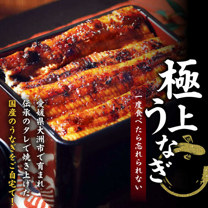 【ふるさと納税】【全3回定期便】国産うなぎ！秘伝のタレで焼き上げた「うなぎ蒲焼き 4尾」と地元生産者こだわりの「お米 5kg」セット　愛媛県大洲市/有限会社 樽井旅館[AGAH009]