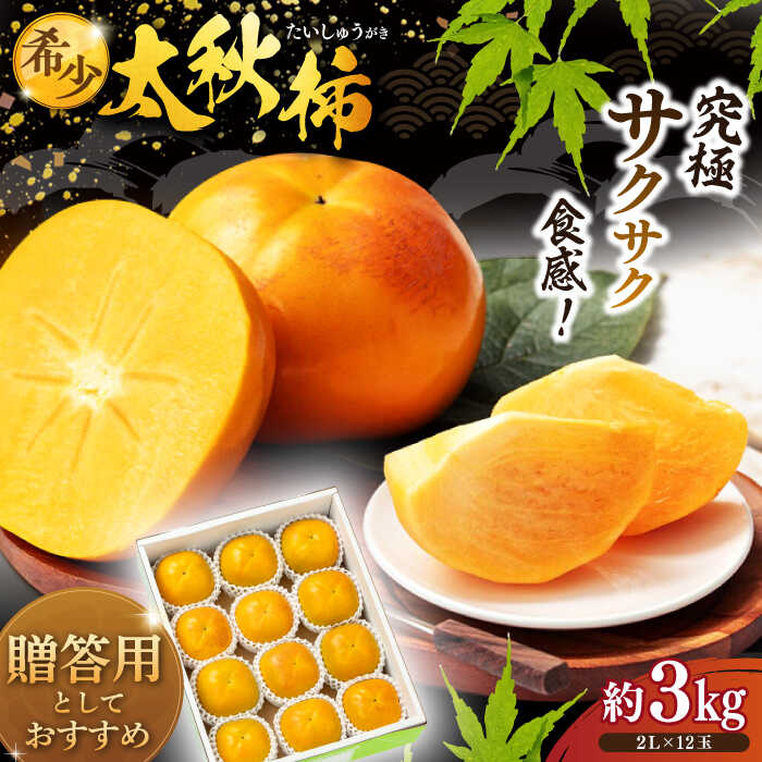 [先行予約][10月上旬から順次発送][期間・数量限定]太秋柿 約 3kg 化粧箱入( 2L 12玉 ) | 人気 おすすめ ランキング おいしい 大洲市/愛媛たいき農業協同組合[AGAO004] 20000 20000円 以下