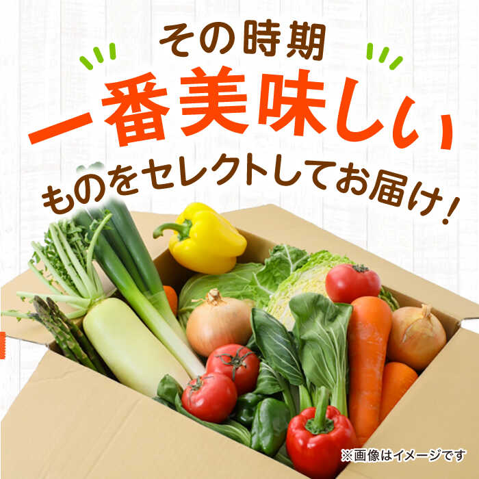 【ふるさと納税】【全3回定期便】 野菜 と 果物 の 詰め合わせ （ 8種以上 ） 定期便 | 人気 おすすめ ランキング おいしい 大洲市/愛たい菜[AGAP018] 40000 40000円