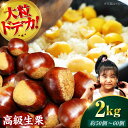 【ふるさと納税】【先行予約】【9月下旬から配送開始】ドデカ 生栗 2kg( 約 75 個 〜 90 個 ) | 人気 おすすめ ランキング おいしい 甘い フル...