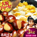 【ふるさと納税】【先行予約】【9月下旬から配送開始】ドデカ 生栗 3kg( 約 75 個 〜 90個 ) | 人気 おすすめ ランキング おいしい 甘い 大洲市...