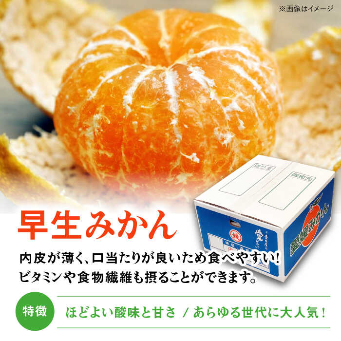 【ふるさと納税】【贈答用】 早生 みかん 10kg 大洲市/有限会社西山青果[AGAR009] 先行予約 みかん ミカン 蜜柑 温州ミカン 温州みかん 果物 くだもの フルーツ 愛媛県産 大洲市産 産地直送 おすすめ 人気 お取り寄せ 送料無料 贈答 ギフト