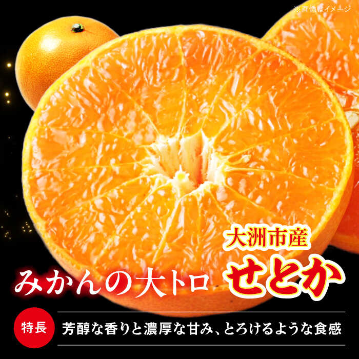【ふるさと納税】【2月下旬より順次発送】 訳あり せとか 2.5kg ( L から 4L サイズ混合 ) | 人気 おすすめ ランキング おいしい 甘い みかん 柑橘 大洲市/有限会社西山青果[AGAR012] f382078-ozu-10001660 愛媛県大洲市 サンプル画像3
