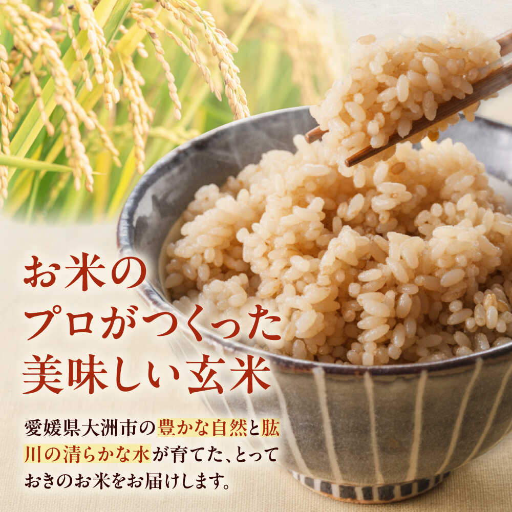 【ふるさと納税】【令和7年産】【玄米】あきたこまち 10kg　愛媛県大洲市/稲工房案山子 お米 10kg あきたこまち 玄米[AGAV024]お米 ご飯 おにぎり ごはん 白米 和食 おコメ 日本食 おこめ 国産 秋 人気 送料無料 令和7年産 玄米