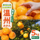 【ふるさと納税】【先行予約】【11月下旬から順次発送】 温州 みかん(南柑20号) 5kg | 人気 おすすめ ランキング おいしい 甘い 果物 フルーツ 柑橘...